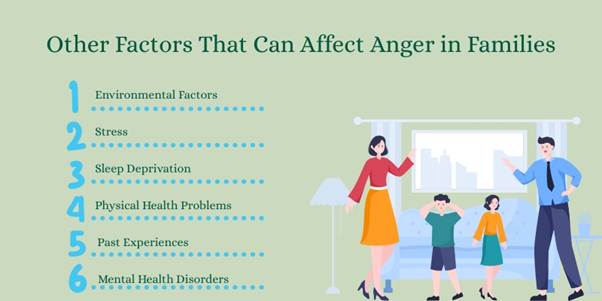 Other Factors That Can Affect Anger in Families