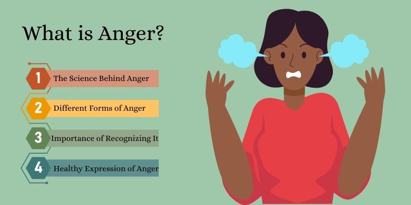 What is Anger