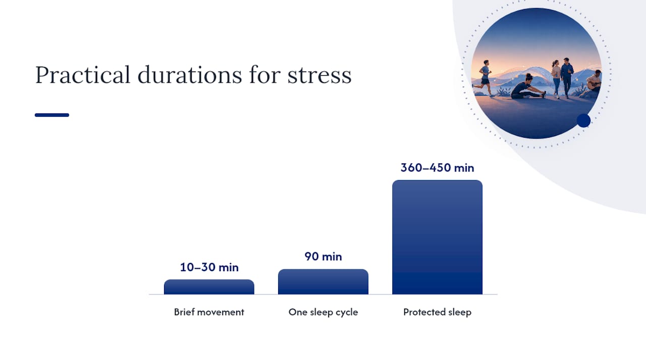 Sleep, Movement, and Nutrition: The Lifestyle Habits Behind Effective Stress Reduction Strategies — overview diagram