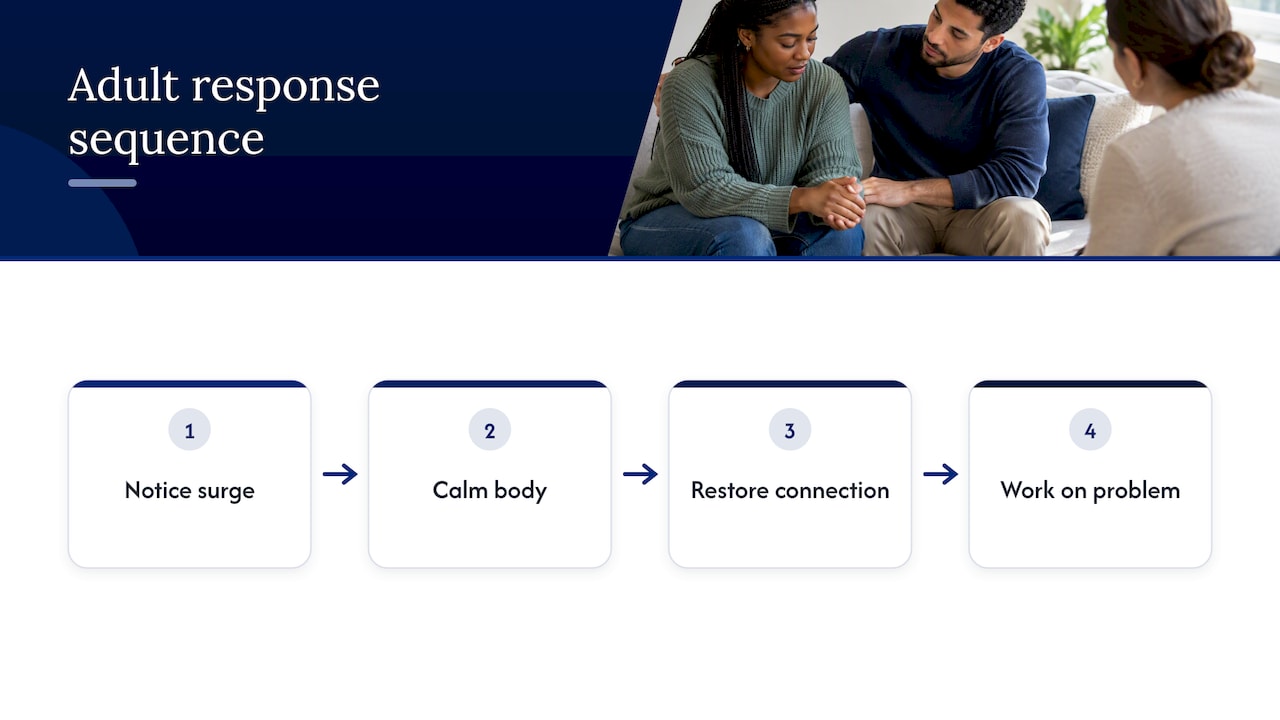 Our perspective — overview diagram